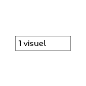 1 visuel