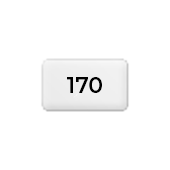 Couché mat 170 g