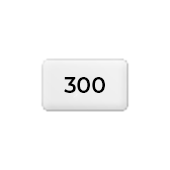 Couché mat 300 g