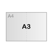 A3 (29,7 x 42 cm)